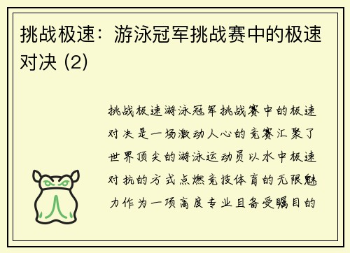 挑战极速：游泳冠军挑战赛中的极速对决 (2)