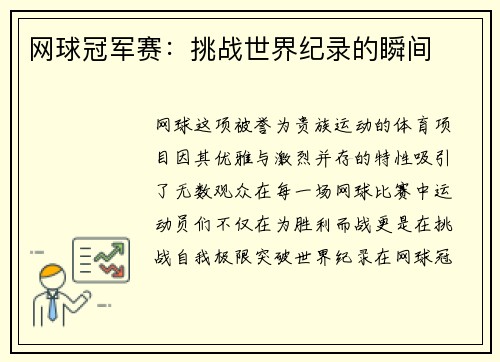 网球冠军赛：挑战世界纪录的瞬间